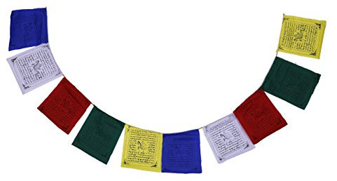 Buddista tibetana ondeggiamento cotone Bandierine di preghiera (Lungta) Mantras And Horses vento (5 stringhe x 10 bandiere)