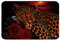 Sunset Badezimmerteppich Leopard Saugfähig rutschfest Badematte 50x80cm Rot Rose Blumen Gepard Drucken Weich Machine Waschbar Badvorleger Küche Wildtiermotiv Indoor Eingang Badteppiche Luxus