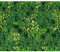 decomonkey - Papier Peint Panoramique Adhésif Plantes 343x256 cm - Stickers Muraux Salon Chambre Déco XXL Autocollant Murale Bureau - Noir turquoise vert - Jardin feuilles plantes nature