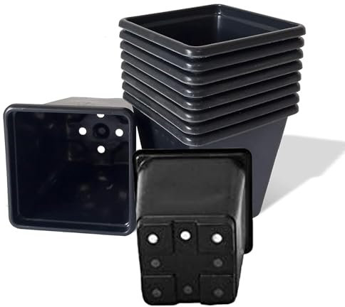 9cm Plastic Pots Black Square (Pack of 100) – Ideal for Plants, Perennials, and Herbs (Pack of 100 Pots)