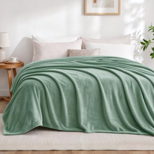 Aisbo Kuscheldecke Flauschig Decke Grün - Fleecedecke 220x240 cm Sofadecke Couchdecke, Weich Kuschelige Wohndecke Salbeigrün für Wohnzimmer Sofa Couch Blanket Warme Große Decke XXL