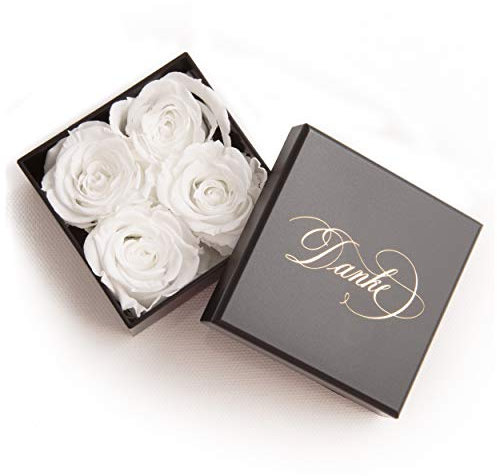 ROSEMARIE SCHULZ Rosenbox 4 kleine ewige Rosen konserviert Geschenkbox/Danksagung/Rosengesteck (6 x 6 cm, Weiß)