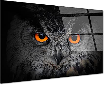DECLINA – Tableau Mural Hibou – Cadre Animalier Oiseaux – Photo Murale Sur Verre Acrylique – Atelier Français – 120 x 80 cm