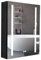 Plumbsys Armario Espejo Baño Negro con LED Luz, Antivaho, Regulable, Estante, 50x65cm