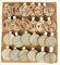 2023 Adventskalender Spielzeug Weihnachts Advents 24 Tage Geschenke für Jungen und Mädchen Adventskalender für Kinder Erwachsene Adventskalender vor Weihnachten für Erwachsene (Blue, One Size)