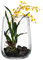 Leonardo Modo Dekoset mit Orchidee, Vase, Glasvase, Dekoration, Pflanze, Zimmerpflanze, Terra, 36 cm, 085929