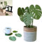 Monstera Untersetzer-Set, 3D-Bedruckte Pflanzen-Untersetzer, Monstera-Untersetzer, magnetisch, Monstera-Pflanzen-Untersetzer, kreative 3D-Bedruckte grüne Blätter, Getränkeuntersetzer