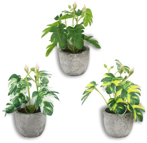 Emyimom 3 Stücke Künstliche Pflanzen， Mini Monstera Kunstpflanzen ，Monstera Kunstpflanzen Kleine mit Töpfen Tischdeko Haus Balkon Büro Deko (3, Grün)
