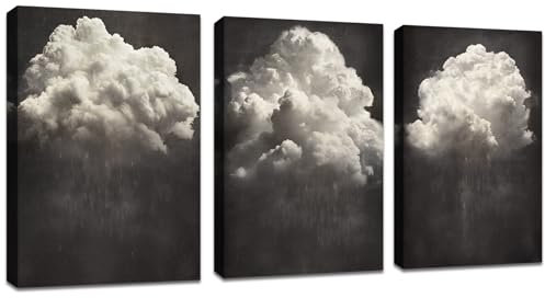 FajerminArt 3Pcs Nuages noirs et blancs Tableau Décoration Murale Salon Abstrait Impression sur Toile Image sur Toile Peintures sur Toile Décoration Murale pour Salon Chambre Maison Bain 30x40cmx3pcs