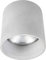 Licht-Erlebnisse Deckenstrahler Beton GU10 Grau Zylinder Minimalistisch Modern Aufbauleuchte Betonlampe Flur Wohnzimmer