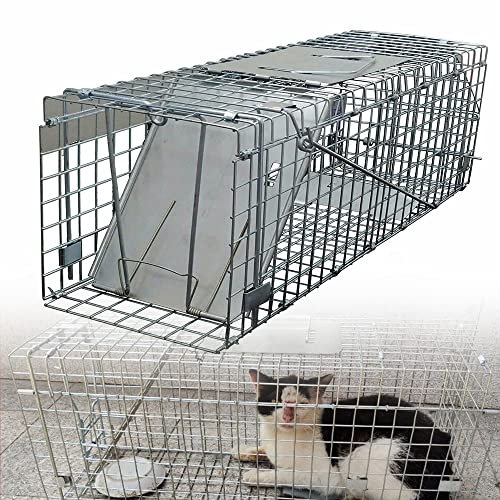 Humane Live Animal Trap Catch and Release for Chipmunks, Squirrels, Rabbits, Skunks, Cat, and Other Small Animals, 1-Door Easy to Set Mouse Catcher