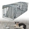 BRIEFNESS Humane Live Animal Trap captura y liberación para ardillas, ardillas, conejos, zorrillas, gatos y otros animales pequeños, 1 puerta fácil de colocar