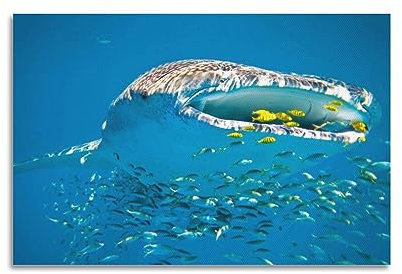 WELYK Sea Life Poster Haie Fütterungsposter, dekoratives Gemälde, Leinwand-Wandposter und Kunstdruck, modernes Familienschlafzimmer-Dekor-Poster, 20 x 30 cm