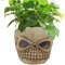 Walopola Vase Squelette pour succulentes, Cache-Pot de Fleurs en Forme de tête de Mort - Pot de Fleurs Unique au Design créatif - Pot de Fleurs Portable de Taille compacte pour la décoration