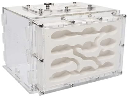 SHCHNA Formicarium Ameisenburg Aus Gips Ameisenfarm Leicht Zu Beobachtendes Ameisenexperiment Ameisennestfarm Beobachtungsbox