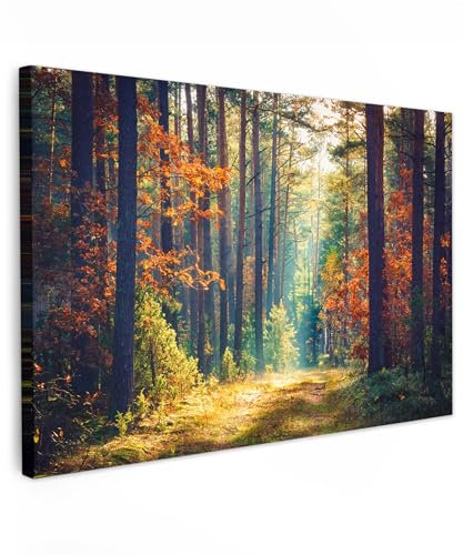MuchoWow© Leinwand Bilder Groß 120x80 cm XXL Wanddeko Wohnzimmer Aesthetic Room Decor Deko Zimmer Wandbilder Modern Fotogeschenke Wald - Sonne - Natur - Herbst