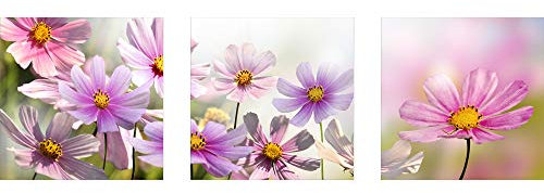 decorwelt | Dreiteiliges Wandbild 3 Teilig Acrylglasbilder Acryl Glasbild Blumen Pink 90x30 cm Wandbilder Wohnzimmer Esszimmer Deko Wanddeko
