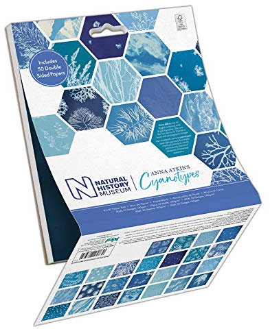 Naturhistorisches Museum 6 x 6 Papierblock - 50er Pack - Anna Atkins Cyanotypes