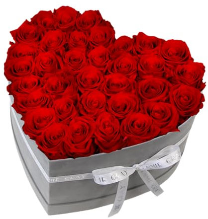 EG EMMIE GRAY Classic Infinity Rosenbox | Herz | Grau - Größe L mit 28 ± 4 Infinity Rosen, bis zu 3 Jahre haltbar, Flowerbox mit konservierten Rosen, Blumenbox (Vibrant Red)