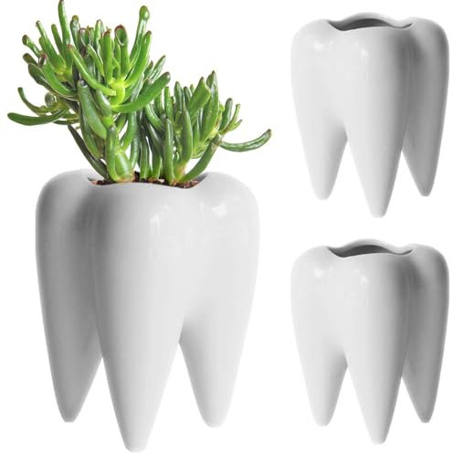 BAIFULAI Pot de fleurs en céramique en forme de dents de dents - Pot à crayons - Mini pot de fleurs pour cactus, plantes succulentes - Pour jardin, bureau, décoration de bureau - Cadeau créatif