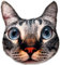 Splat Planet Katze Plüsch 3D Kissen Riesiges Realistisches Plüschtier Lustige Kinder Dekorative Einzigartige Bodenkissen Tierthema Sitzkissen Für Schlafzimmer Stühle & Sofa