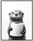 Dazzlewall Lustiges Badezimmer WandBild, Niedlicher Otter mit Toiletten Bild, Schwarz Weiß Tierbild für Badezimmer Toiletten Deko 12x16 Zoll Ungerahmt