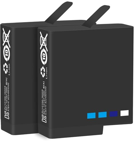 Compatibile con la batteria della fotocamera GoPro Hero 5 6 7 nera con caricabatterie triplo(2Battery)