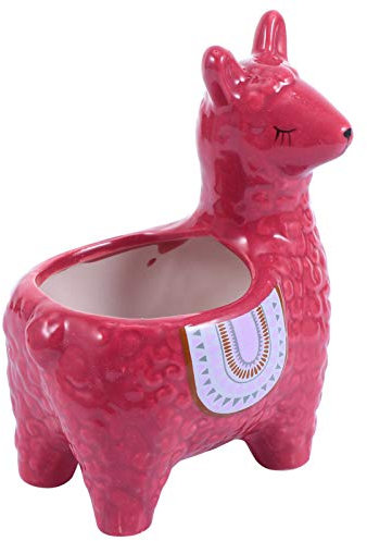 Cabilock Pot De Fleurs Céramique Pot Créatif Et Original pour Plantes Cactus Décoration Moderne Et Vivante pour Votre Espace De Vie