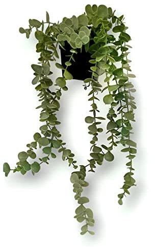Generic FEJKA Künstliche Topfpflanze, Innen-/Außendekoration, hängender Eukalyptus, 9 cm