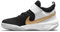 Nike Team Hustle D 10 Basketball Shoe, Black/Metallic Gold-White-Dust, 28.5 EU