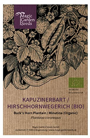 Barba di cappuccino, erba stella (Plantago coronopus) biologico - circa 1500 semi