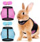 2 Stück Verstellbares weiches Hasengeschirr, Atmungsaktives Kaninchengeschirr, Mesh-Kaninchen-Geschirr, für Kleintier Hase Hamster Katze Outdoor (M, Blau,Rosa)