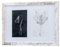 Bilderrahmen 2 Fotos 10x15 Shabby Chic Vintage MDF Holz Fotorahmen Wanddeko Fotoaufsteller Fotocollage Deko Collage Wanddeko