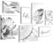 Novart Wandbilder Blumen Abstrakt - KOMPLETT AUFHÄNGFERTIG - Schwarz Weiss Wohnzimmer Schlafzimmer Flur - 7 Moderne Mood-Bilder - N033471a
