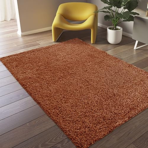 Steffensmeier Hochflor Teppich Valencia | Shaggy Langflor Teppich Wohnzimmer, Schlafzimmer, Terra, Größe: 120x170 cm