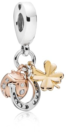 LMLMECREA Charms Anhänger Kompatibel mit Europäische Armbänder | Tiere,Schildkröte,Hund,Katze,Reisen,Eiffelturm,Geschenk für Frauen