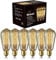 Woowtt Edison Light Bulb 6 Pack Classic Antique Bulb Style - Dimmable - Amber Warm - ST64 40W
