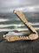 Shamanicshop Maultrommel von D.Glazyrin/Aria (in Holzkoffer) – Professionelles Mundmusikinstrument (Kieferharfe), schöner Klang, hervorragende Qualität, original russische Maultrommel (Kieferharfe,