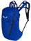 Salewa Pedroc 16L Backpack, ELECTRIC, UNI