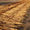 RUMENT Paneles de Paja Teja de Paja Artificial PE Plástico 50x300cm Rollo de Paja de Palma Retardante de Llama Paneles de Techo Paja para Tiki Bar Jardín Patio Gazebos Decoraci(Color:Marrón)