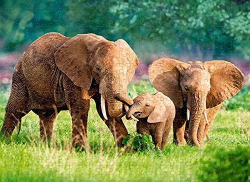 Puzzle 3000 Teile Elefantenfamilie Puzzle Puzzlegeschenke für Kinder und Erwachsene