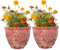 SG Traders Pack Of 2 X-Large Plastic Round Chengdu Garden Plant Pots Planter Indoor Outdoor Pots Top Diameter Flower Pots with Drainage Holes, Beautiful Planters for Your Garden Needs (30, 36, 40cm)