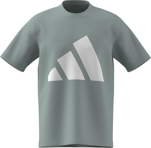 adidas Men's Essentials Big Logo Single Jersey Tee, Wonder Sage/White, XL