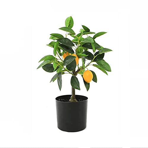 SHUTING2020 Künstlicher Bonsai 17-Zoll-Schwarze künstliche Kunststoff-Topfpflanzen, schöne Faux-Zitronenbaum-Pflanzendekoration, künstliche Bäume für Gartenparty Kunstpflanze Künstlicher Bonsai