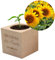 CADEAUX.COM - Ecocube Maman Tournesol - Cadeau Maman - Idée Cadeau Femme - Idée Cadeaux Fête des Mères