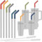 Tomorotec 6-Pack Reusable Stainless-Steel Straw with Silicone Tip 3 Sizes (Dark Rainbow)