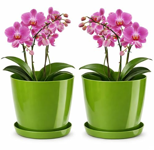 PECZEKO Maceta brillante, juego de 2 macetas de plástico con plato decorativo para plantas grandes y pequeñas, macetas con plato, macetas para hierbas, verde, Ø 20 cm
