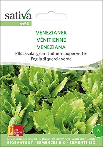 Sativa Rheinau ps50 Pflücksalat grün Venezianer (Bio-Salatsamen)