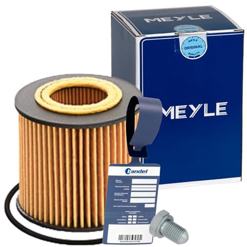 Ölfilter-Set passend für IBIZA 4 6J 1.2 + LPG 60 + 70 PS