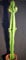 Kakteen,Euphorbia acrurensis,Westernkaktus,sehr große sukkulente Pflanzen,ca. 60cm